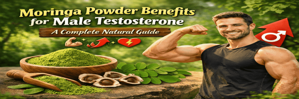 Moringa Powder Benefits for Male Testosterone: A Complete Natural Guide